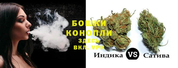 соль ск Козловка
