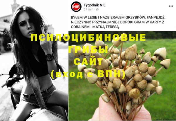МДМА Козельск