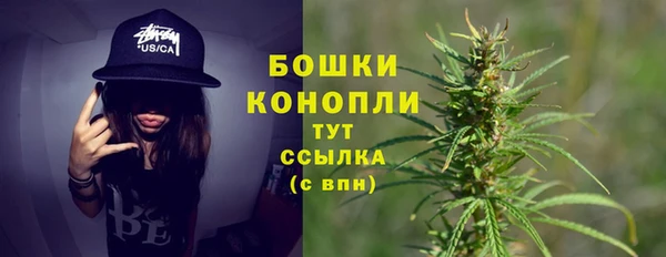 соль ск Козловка