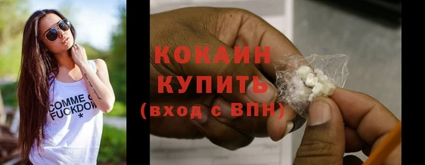 соль ск Козловка