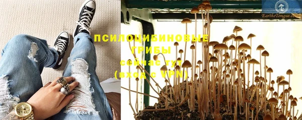 МДМА Козельск