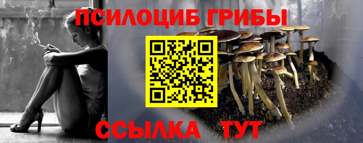 Тара  купить  сайты  Вход с VPN  Галлюциногенные грибы мицелий  Галлюциногенные грибы ЛСД 