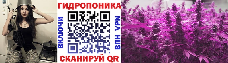 Бошки Шишки семена  Тара 